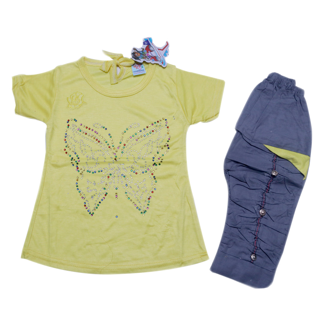 Stylish butterfly shirt and trouser for little girls